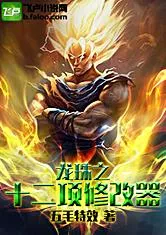 Dragon Ball Twelve Modifiers